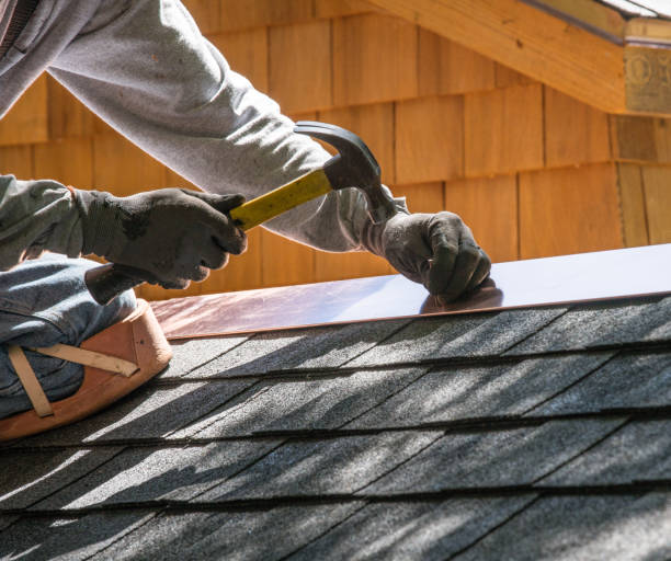 Best Roof Gutter Cleaning  in Severna Park, MD